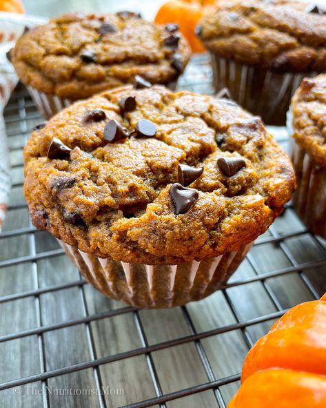 PUMPKIN CHIP COLLAGEN PROTEIN MUFFINS - Nutritionist Mom Chunky Monkey Muffins, Protein Powder Muffins, Monkey Muffins, Muffin Ideas, Protein Sweets, Pumpkin Protein Muffins, Fall Muffins, Pumpkin Chip, Protein Mug Cakes