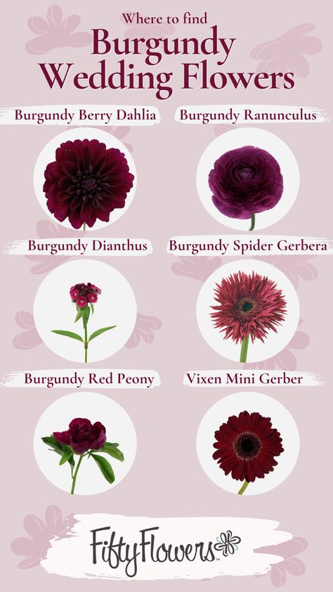 In this pin you see Burgundy berry Dahlia, Burgundy Ranunculus, Burgundy Dianthus, Burgundy Spider Gerbera, Burgundy Red Penony, and Vixen Mini Gerber from FiftyFlowers Types Of Burgundy Flowers, Burgundy Wedding Spring, Wine And Berry Tone Wedding, Merlot And Green Wedding, Burgundy Centerpieces Diy, Rose Gold Flower Center Pieces, Dark Burgundy Flowers, Burgundy And Plum Wedding Flowers, Burgundy And Purple Wedding Flowers