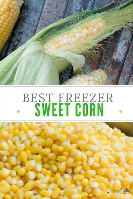 Preserve your harvest of corn this year with this easy Freezer Sweet Corn Recipe. Freezer Sweet Corn, Freezer Corn Recipe, Sweet Corn Recipes, Canning Peaches, Jam Recipes Homemade, Homegrown Food, Corn Seed, Corn Recipe, Peach Recipe