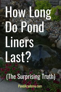 Making A Pond How To Build, Pond Liner Pool, Diy Pond Liner, Make A Pond, How To Make A Pond, Pond Liner Ideas Diy, How To Build A Pond, Pond Decorating Ideas, Diy Pond Pool