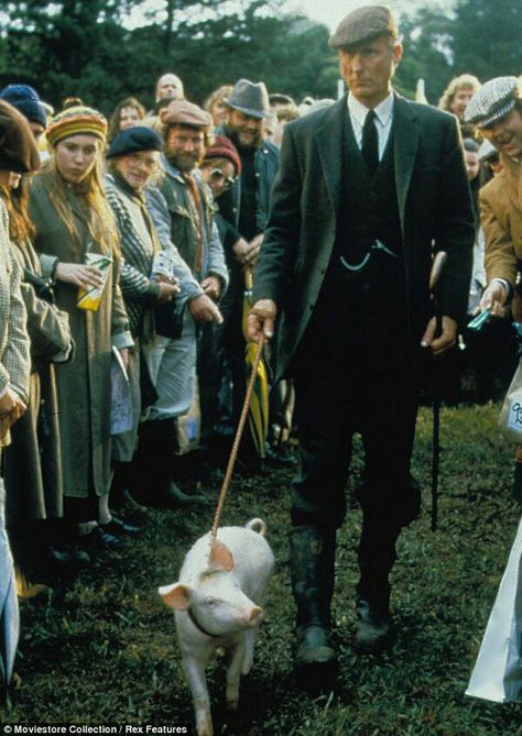 Babe Movie, Babe 1995, James Cromwell, University Of Wisconsin Madison, George Miller, 1995 Movies, World Book Day Costumes, Teacup Pigs, Book Day Costumes