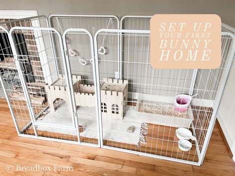 Bunny Playpen Ideas, Bunny Enclosure Indoor Rabbit Pen, Rabbit Playpen Ideas, Bunny Ideas Cage, Best Bunny Cage Set Up, Diy Bunny Litter Box House Rabbit, Diy Bunny Enclosure, Bunny Habitats Indoor, Indoor Rabbit Ideas