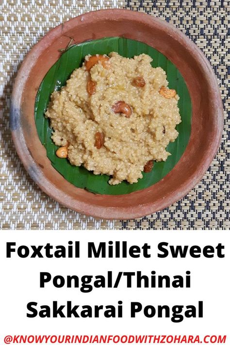 Foxtail Millet Sweet Pongal Recipe/Thinai Sakkarai Pongal Recipe is a delicious, flavourful and traditional South Indian sweet recipe. It is a popular millet-based sweet recipe. You can easily make this Foxtail Millet Sweet Pongal Recipe/Thinai Arisi Sweet Pongal Recipe within 30 minutes and serve it as a breakfast, dessert or snack recipe. Click the link and check out the recipe on the blog. Sakkarai Pongal Recipe, Sweet Pongal Recipe, Pongal Recipe, Sweet Pongal, Sweet Recipe, Indian Sweet, South Indian Food, Indian Dishes, Indian Recipes