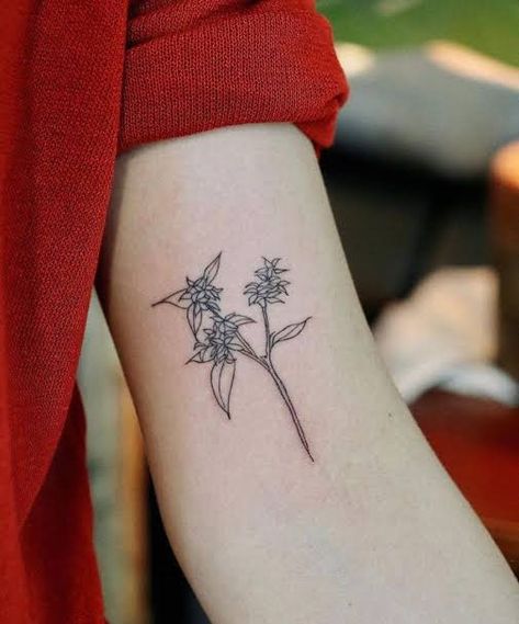 Daphne Tattoo Flower, Daphne Flower Tattoo, Daphne Flower, Leaf Tattoos, Maple Leaf Tattoo, Flower Tattoo, Tattoos