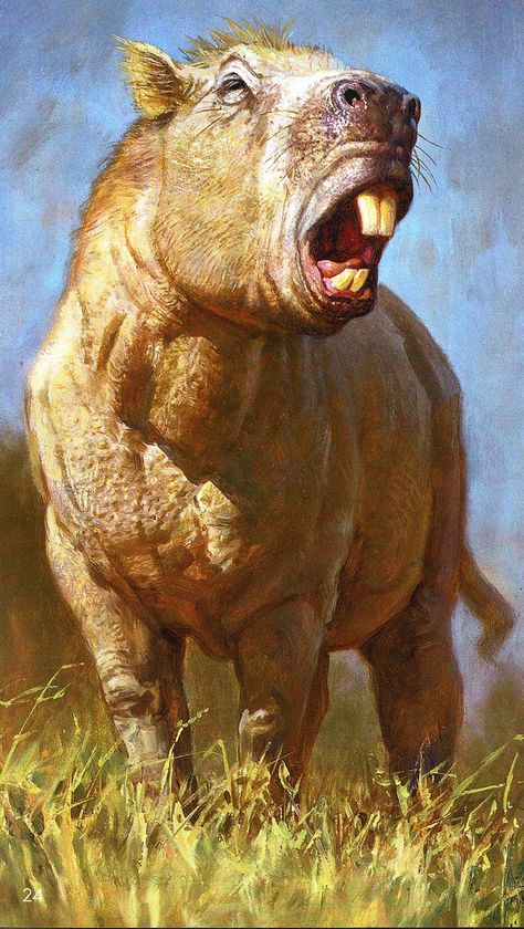 An illustration of the giant rodent <i>Josephoartigasia monesi</i>. The overgrown rodent was bigger than a buffalo and had giant teeth that it used like elephant tusks. Prehistoric World, Ancient Animals, Paleo Art, Extinct Animals, Prehistoric Creatures, Prehistoric Animals, Weird Animals, Rodents, Creature Design