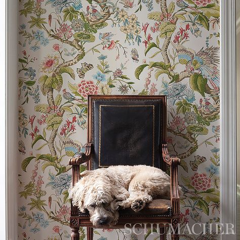 Cranley Garden - Document Wallcoverings | Schumacher Schumacher Wallpaper, Smooth Wallpaper, Aesthetic Room Ideas, Garden Wallpaper, Room Ideas Aesthetic, Garden Print, Custom Made Furniture, Unique Wallpaper, Wallpaper Living Room