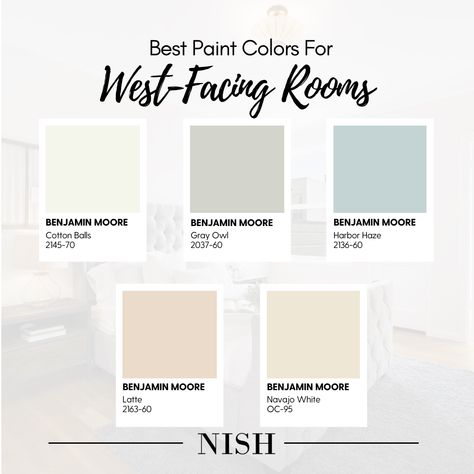 Best Paint Colors For Office Space, Crushed Ice Paint Color, Crushed Ice Paint, South Facing Living Room, North Facing Rooms, Best Sherwin Williams Paint, Color Undertones, Warm Neutral Paint Colors, Warm Paint Colors