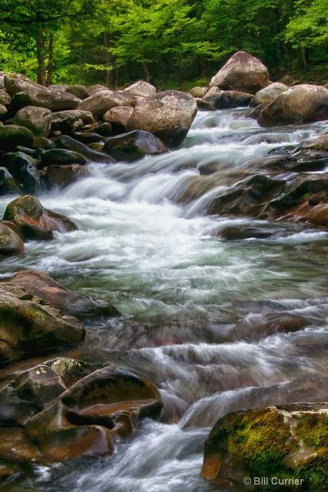 Some of the best Smoky Mountain swimming holes and waterfalls where you can cool off in the Great Smoky Mountains National Park. Caribbean Tattoo Ideas, Caribbean Tattoo, Mountain Road Trip, Smokie Mountains, Chimney Tops, Smoky Mountain Vacation, Mountain And Forest, Forest Sounds, Smoky Mountains Cabins