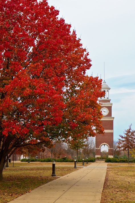 Autumn at Union University Thompson Rivers University, American University Washington Dc Campus, Johnson And Wales University Providence, Wesleyan University Connecticut, Union University, University Of Minnesota Twin Cities, Christian College, College Campus, Social Work