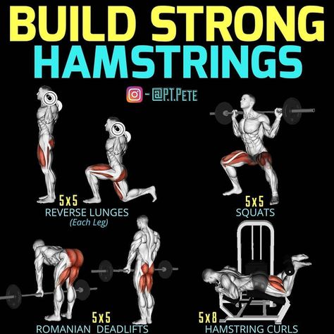 BUILD STRONG HAMSTRINGS by @P.T.Pete 👇Tag a friend👇 -  Follow @TheTrainingManual for daily fitness/nutrition tips & education📚 -  If you… Strong Hamstrings, Explosive Workouts, Hamstring Workout, Gym Workout Chart, Leg Training, Hip Muscles, Reverse Lunges, Weight Training Workouts, Workout Supplements