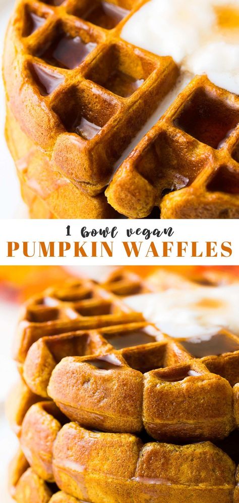 These Vegan Pumpkin Waffles are full of pumpkin spice goodness and are the perfect Fall weekend breakfast! Crispy on the outside and fluffy on the inside. 1 Bowl. Vegan Pumpkin Waffles Recipe, Vegan Gluten Free Pumpkin Waffles, Gluten Free Vegan Fall Recipes Dinner, Pumpkin Spice Vegan Recipes, Wfpb Waffles, Savory Pumpkin Recipes Vegan, Vegan Recipes With Pumpkin, Fall Vegan Breakfast, Healthy Fall Breakfast Ideas