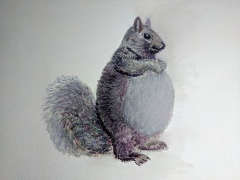 Pregnant Squirrel, Squirrel Watercolor, Hand Painted Gifts, About Art, Secret Obsession, Keepsake Boxes, The Rules, Beautiful Photo, Animal Art