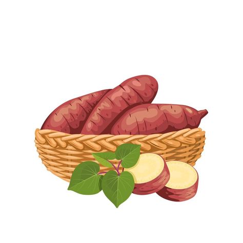 Sweet Potato Drawing, Sweet Potato Illustration, Food Colors Palette, Potato Drawing, Sweet Potato Leaves, Sweet Potato Cookies, Crocodile Cartoon, Japanese Packaging, Carrots And Potatoes