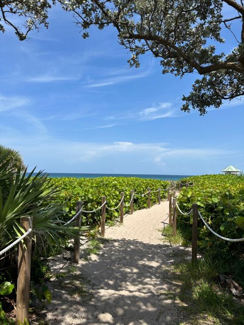 Delray Beach, Florida, beach girl, coconut girl, beaches in Florida Seaside Florida Aesthetic, Clearwater Beach Florida Aesthetic, Rosemary Beach Florida Aesthetic, Atlantic Avenue Delray Beach, Beach Sky, Sky View, Delray Beach, Florida, Travel