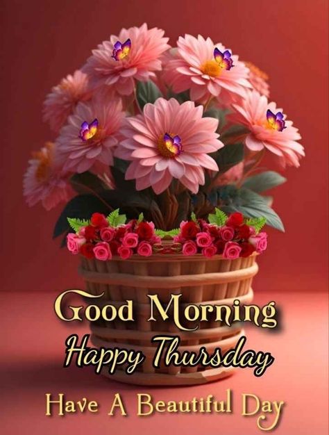 Thursday Wishes, Morning Thursday Images, Good Thursday Morning, Happy Thursday Morning, Good Morning Thursday Images, Wish Good Morning, Christian Good Morning Quotes, Friday Dance, Thursday Images