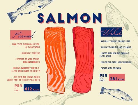 Salmon Quotes, Seafood Packaging Design, Salmon Poke, Salmon Farming, Sushi Menu, Sign Painter, Pesto Salmon, Wild Caught Salmon, Fish Feed