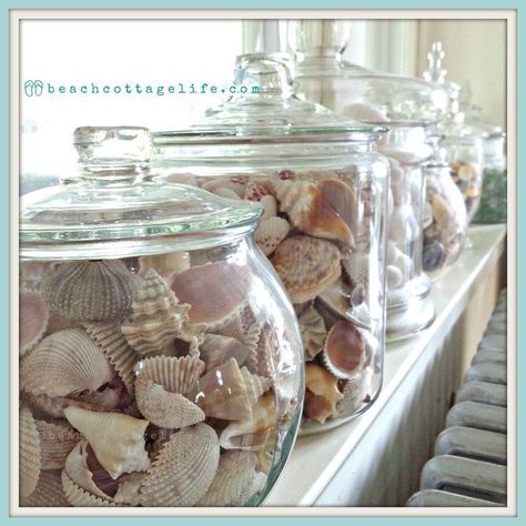 Coastal Home Decor. Shells, sea urchins, sea glass collections in apothecaries on windowsill. It's a Beach Cottage Life. Beach House chic! Deco Surf, Deco Marine, Beachy Decor, Cottage Life, Coastal Living Rooms, Beach Cottage Decor, Beach House Style, Shell Decor, Beach House Interior