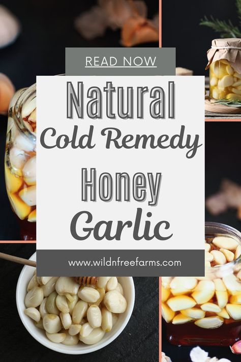 fermented honey garlic Honey And Garlic Remedy Benefits, Garlic Uses For Health, Honey Garlic Medicine Jar, Honey Garlic Immune Booster, Fermented Garlic Honey Benefits, Garlic Honey Medicine, Fermented Honey Garlic, Garlic Remedies, Honey Remedies