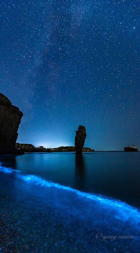 Sea Of Stars Aesthetic Wallpaper, Bioluminescence Water, Utopia Aesthetic, Ocean At Night, Sea Of Stars, Water Aesthetic, Beach Illustration, Terra Nova, Most Beautiful Images