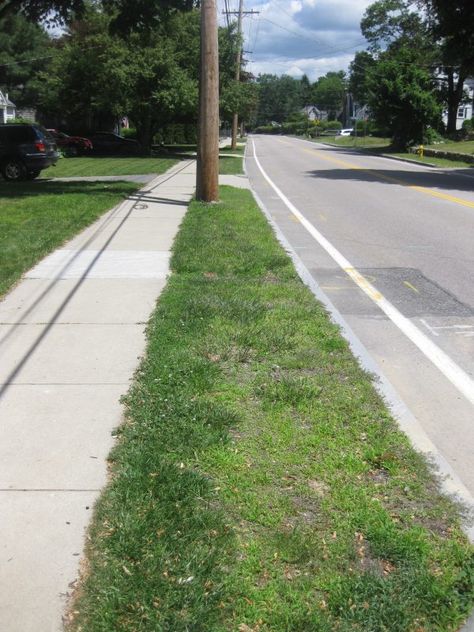 On Verges: Exploring Roadside Landscape Strips Between Streets & Sidewalks Roadside Landscaping, Sidewalk Landscaping, Science Articles, Environmental Issues, Green Space, Dog Walking, Geography, Documentaries, New Zealand