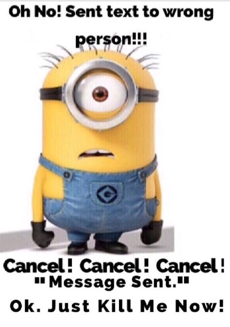 Sent text to wrong person!!! Minion Memes, Send Text, Wrong Person, Funny Things, Funny Cute, Make You Smile, Minion, Humor, Memes