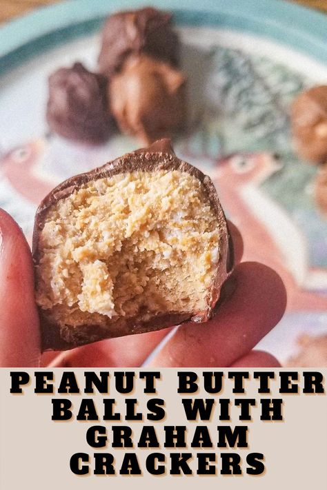 Peanut Butter Balls Made With Graham Crackers, Peanut Butter Balls Graham Crackers, Peanut Butter Graham Cracker Balls, Peanut Butter Balls With Graham Crackers, Easy Desserts Peanut Butter, Peanut Butter Logs Recipe, Desserts Peanut Butter, Peanut Butter Chocolate Balls, Kraft Peanut Butter