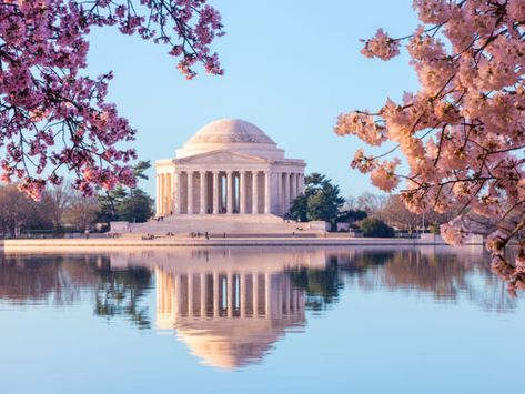 The best places to travel this April Visiting Washington Dc, Jefferson Memorial, Flatiron Building, Washington Monument, Porto Rico, National Mall, Ghost Tour, Thomas Jefferson, Nova York