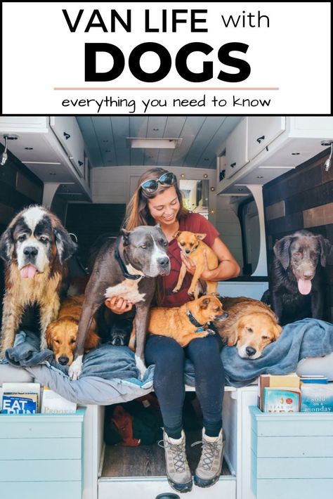 Everything you need to know about van life with dogs! From top dog toys, keeping your dogs in the van alone, to dog friendly places! Living With Dogs, Campervan Life, Van Life Diy, Bus Life, Van Living, Travel Van, Kid Friendly Travel Destinations, Cool Vans, Camper Life