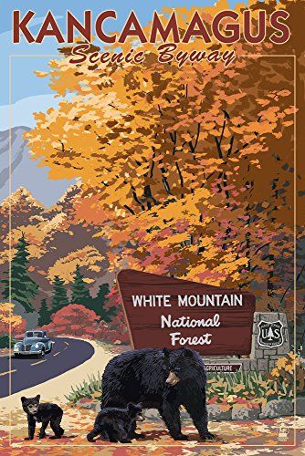 Park Entrance, Black Bear Cub, White Mountain National Forest, Mountain Park, Bear Family, Travel Artwork, Shenandoah National Park, Retro Travel Poster, Great Smoky Mountains National Park