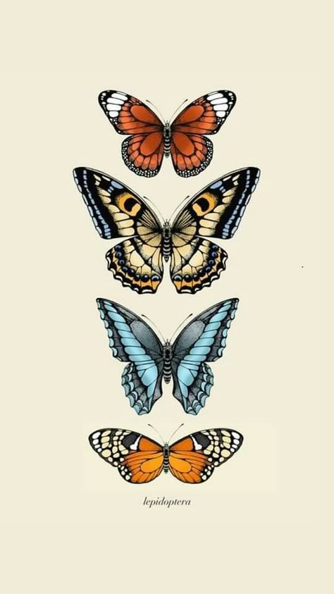 Wallpaper Butterflies, Photo Papillon, Butterfly Art Drawing, Butterfly Art Painting, Illustration Style, Vintage Poster Art, Dessin Adorable, Iphone Background Wallpaper, Butterfly Wallpaper