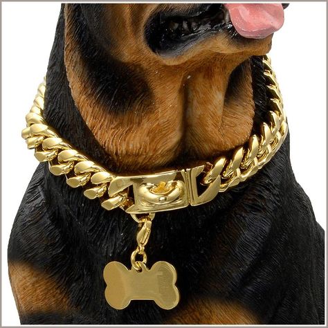 W/W Lifetime Gold Dog Chain Collar Walking Metal Chain Collar with Design Secure Dog Chain Collar, Gold Dog Collar, Bling Dog Collars, Dog Chain, Rottweiler Lovers, Engraved Dog Collar, Pet Jewelry, American Pitbull, Chain Collar