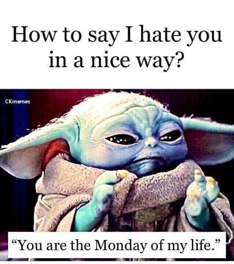 Yoda Quotes, Yoda Images, Yoda Meme, Yoda Funny, I Hate Mondays, Monday Memes, Hate Mondays, Reality Of Life Quotes, How To Say