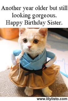 Sister Birthday Quotes Funny, Mummy Quotes, Happy Birthday Sister Funny, Happy Birthday Emoji, Sister Birthday Funny, Funny Happy Birthday Messages, Birthday Emoji, Happy Birthday Wishes Sister, Happy Birthday Sister Quotes