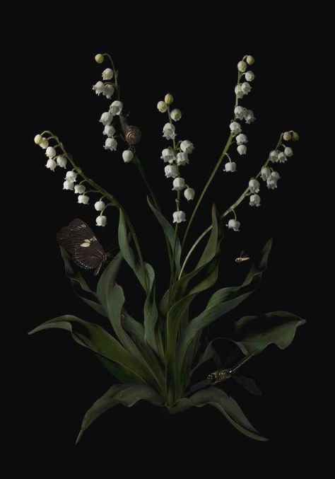 Botanical Aesthetic, Dark Botanical, Gothic Garden, Midnight Garden, Flower Therapy, Season Of The Witch, Dark Floral, Office Art, Autumn Garden