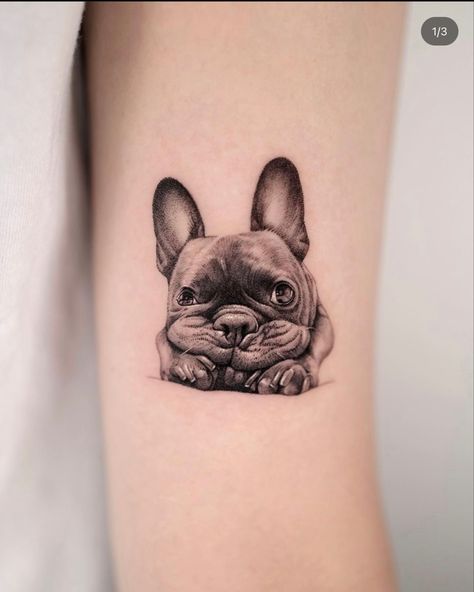 Pet Portrait Tattoos, Tortoise Tattoo, France Tattoo, French Bulldog Tattoo, Bulldog Tattoo, Portrait Tattoos, Dog Line Art, French Bulldog Art, Bulldog Francese