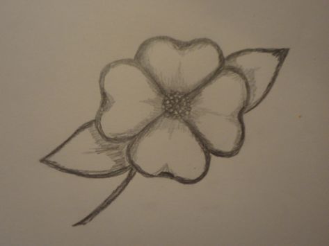 Dogwood Flower Drawing, Drawing A Flower, Cute Flower Drawing, Simple Flower Drawing, Flowering Dogwood, Minimalist Tattoo Ideas, Easy Flower Drawings, Animal Tattoo Ideas, Dogwood Flower