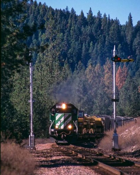 Burlington Northern, Diesel Locomotive, Santa Fe, Train, Quick Saves