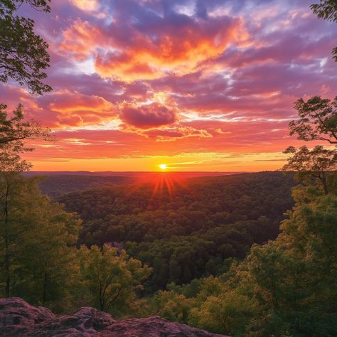 Forest Landscape Photography, Sunset Decor, Gallery Wall Bedroom, Decor Large Wall, Forest Sunset, Scenic Photography, Forest Landscape, Nature Wall, Sunset Photos