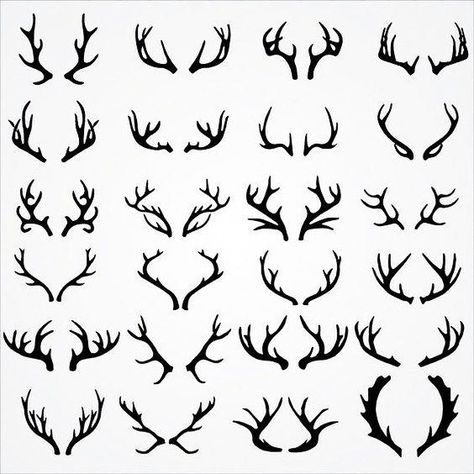 Deer Antler Tattoo, Antler Drawing, Antlers Drawing, Dear Antlers, Antler Tattoos, Antler Tattoo, Deer Skull Tattoos, Deer Tattoo Designs, Hirsch Silhouette