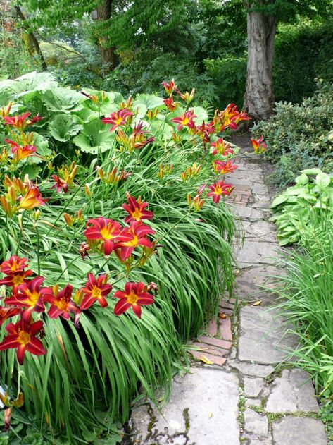 Fantasy Flower Garden, Sissinghurst Castle, Daylily Garden, Lily Garden, Day Lilies, Areas Verdes, The Secret Garden, Woodland Garden, Garden Path