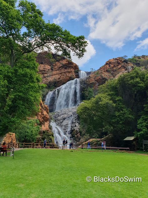 Walking Trails in Joburg: An Afternoon in the Walter Sisulu Botanical Gardens - Blacks Do Swim Walter Sisulu Botanical Gardens, Waterfall Pictures, Time In Nature, Picnic Spot, Concept Board, Love Garden, Enjoy Time, Memorial Garden, Walking Trails