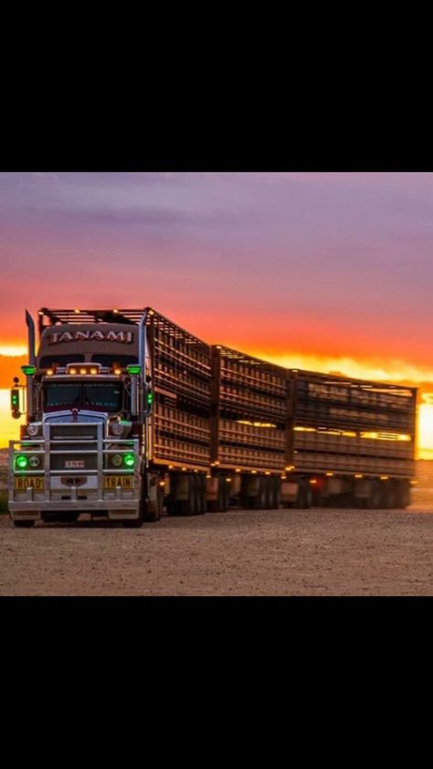 Armored Semi Truck, Cowboy Love Quotes, Ice Road Truckers, Cattle Station, Cattle Trucks, 79 Series, Cowboy Love, Tanker Truck, Armored Truck