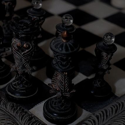 Dark Royal Aesthetic, Dark Royalty, Royal Aesthetic, Chess Pieces, Chess Board, Chess, Prince, Royalty, India