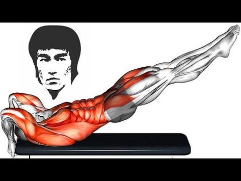 Bruce Lee Abs Workout, Workout Routines Gym, Bruce Lee Abs, Bruce Lee Workout, Workout Videos For Men, Serratus Anterior, Abs And Obliques Workout, Body Weight Workout Plan, Chest Workout Routine