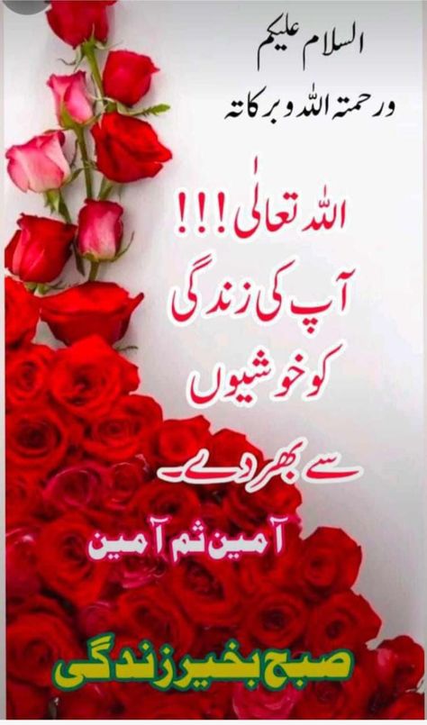 Aslam O Alaikum Images In Urdu, Assalamu Alaikum Images In Urdu, Aslam O Alaikum Images, Assalamu Alaikum Images, Pink Diamond Wallpaper, Suba Bakhair, Sweet Good Morning Images, Subha Bakhair, Best Flower Wallpaper