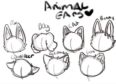 Animal ear refrences multiple animals Animal Poses, Art Bases, Drawing Help, Character Making, Cat Drawings, Action Pose, Body Base Drawing, Creative Drawing Prompts, Drawing Faces