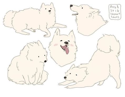 Hamotzi Samoyed Character Design, Sammy Savos Dogs, Hamotzi Dog, Dog Illustration Design, Sammy Savos, Dog Draw, Draw Dogs, Animals Watercolor, Draw Animals