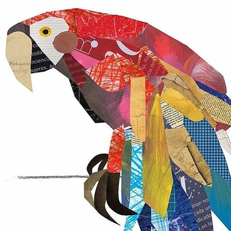 Scarlet Macaw, Collage Art Projects, Paper Collage Art, Kids Art Class, Collage Illustration, Children Book, Art Prompts, Art Club, Childrens Art