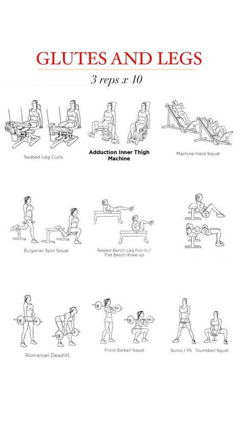 Leg Curl Machine, Tuesday Workout, Seated Leg Curl, Leg Workouts Gym, Workout Gym Routine, Cat Gym, Dumbbell Squat, Barbell Squat, Leg Day Workouts