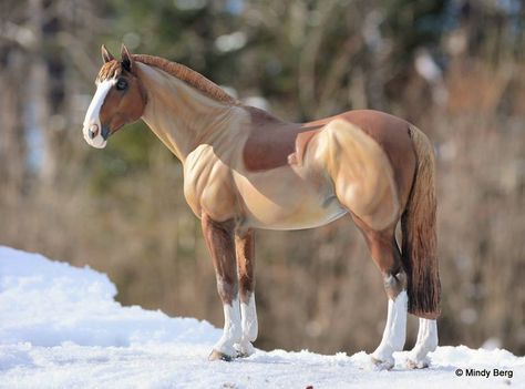 Horse Standing, Schleich Horses, Horse Custom, Horse Model, Bryer Horses, Horse Clipping, Breyer Horse, English Horse, Horse Inspiration